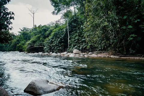 Sungai Kampar river
